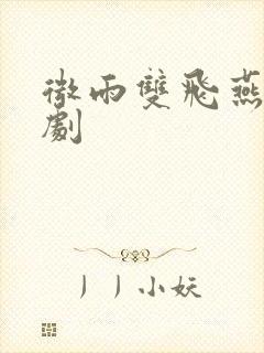 微雨双飞燕电视剧