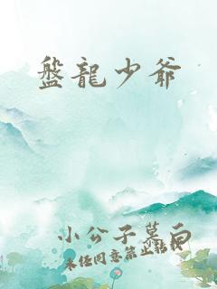盘龙少爷