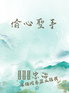 偷心圣手