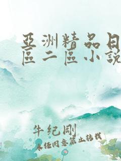 亚洲精品日韩一区二区小说