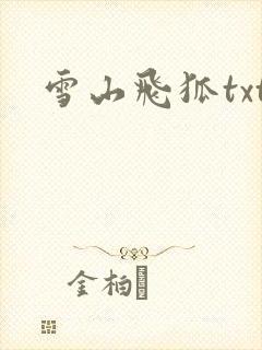 雪山飞狐txt