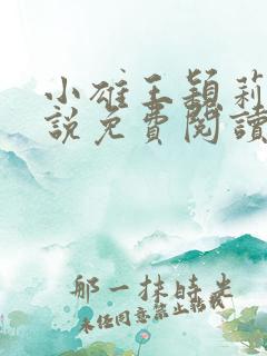 小雄王颖莉的小说免费阅读全文