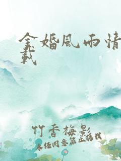 金婚风雨情 下载