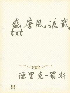 盛唐风流武状元txt