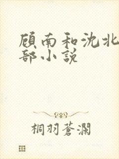 顾南和沈北是哪部小说