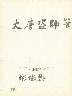 大唐盗帅笔趣阁