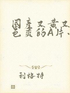 国产又黄又大又色爽的A片小说