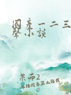 国产一二三区有声小说