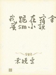 我跪在宿舍被闺蜜sm小说