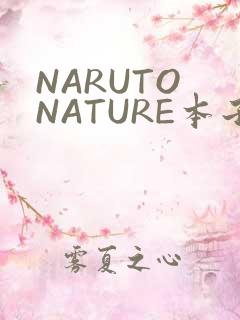 NARUTO NATURE本子