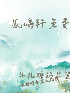 凤鸣轩免费小说