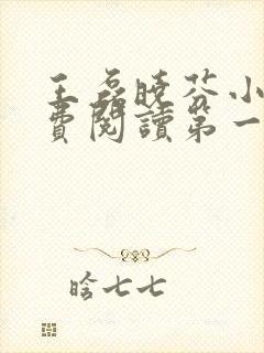 王磊晓芬小说免费阅读第一章