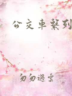 公交车系列说说