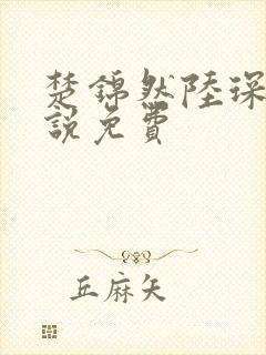 楚锦然陆琛年小说免费