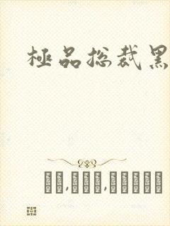 极品总裁黑道妻