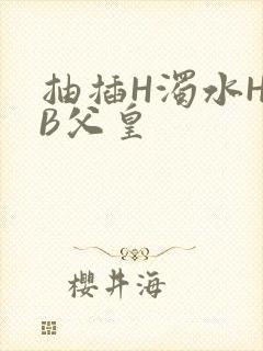 抽插H浊水H嫩B父皇