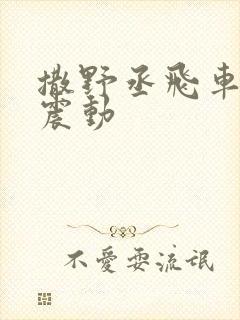 撒野丞飞车道具震动