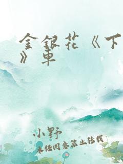 金银花《下厨房》车