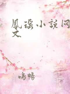 凤瑶小说网高辣文