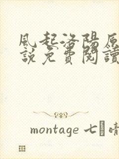 风起洛阳原著小说免费阅读