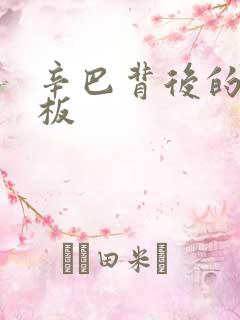 辛巴背后的人老板