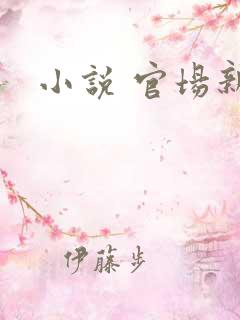 小说 官场新贵