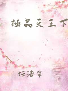 极品天王下载