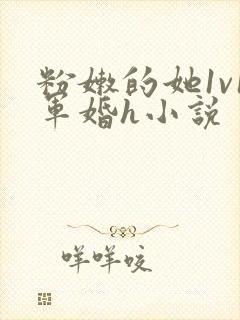 粉嫩的她1v1军婚h小说