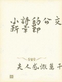 小诗的公交车最新章节