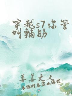 穿越s7你管这叫辅助