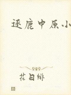逐鹿中原小说