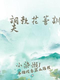 调教花蒂训诫从夫