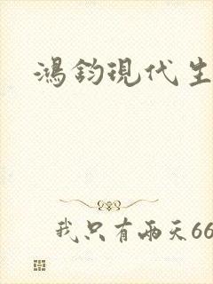 鸿钧现代生活录