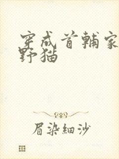 穿成首辅家的小野猫