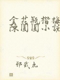 金花瓶楷梅花2陈圆圆小说