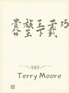 贵族王子巧遇穷公主下载