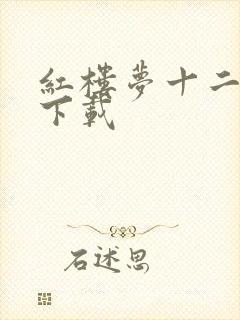 红楼梦十二金钗下载