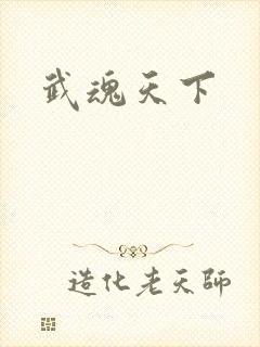 武魂天下