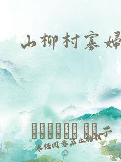 山柳村寡妇情史