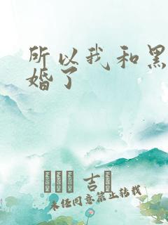 所以我和黑粉结婚了
