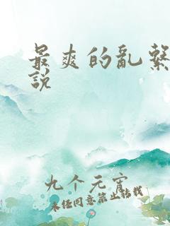 最爽的乱系列小说