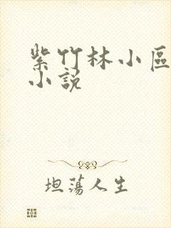 紫竹林小区快递小说