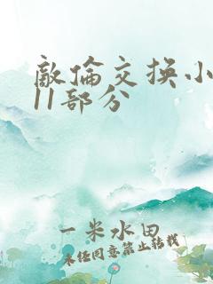 敌伦交换小说第11部分