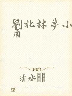 刘北林梦小说主角