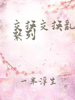 交换交换乱杂烩系列
