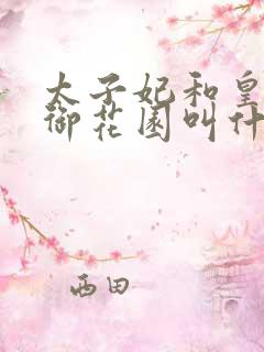 太子妃和皇帝在御花园叫什么小说