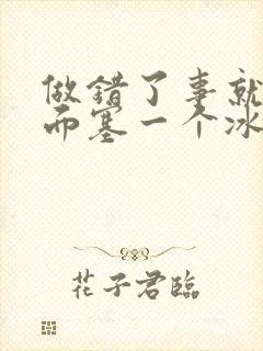 做错了事就往下面塞一个冰球作文