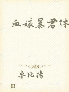 血嫁暴君休了你