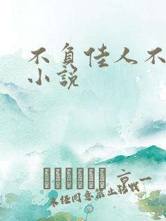 不负佳人不负卿小说