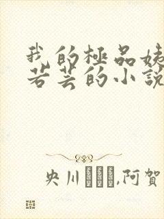 我的极品姨妈柳若芸的小说在线